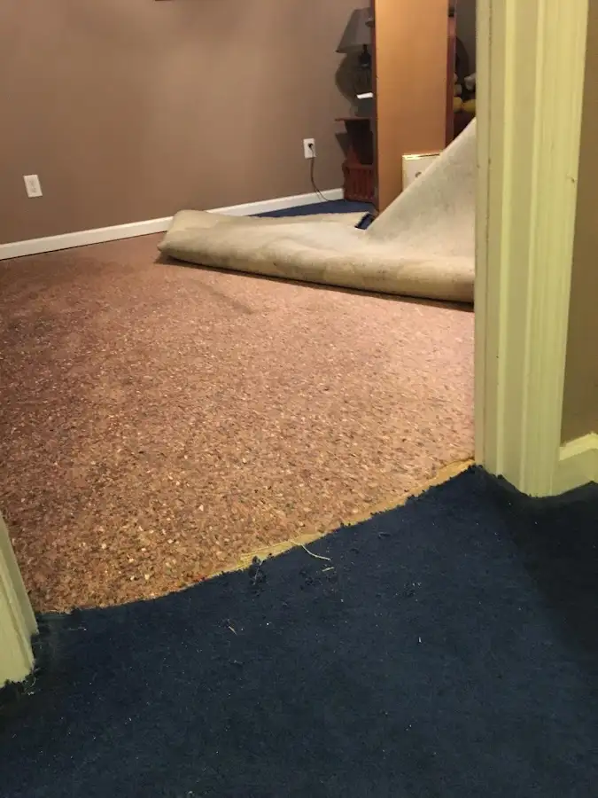 Carpet pad removal revealing water damage during Drying & Dehumidification in Centreville
